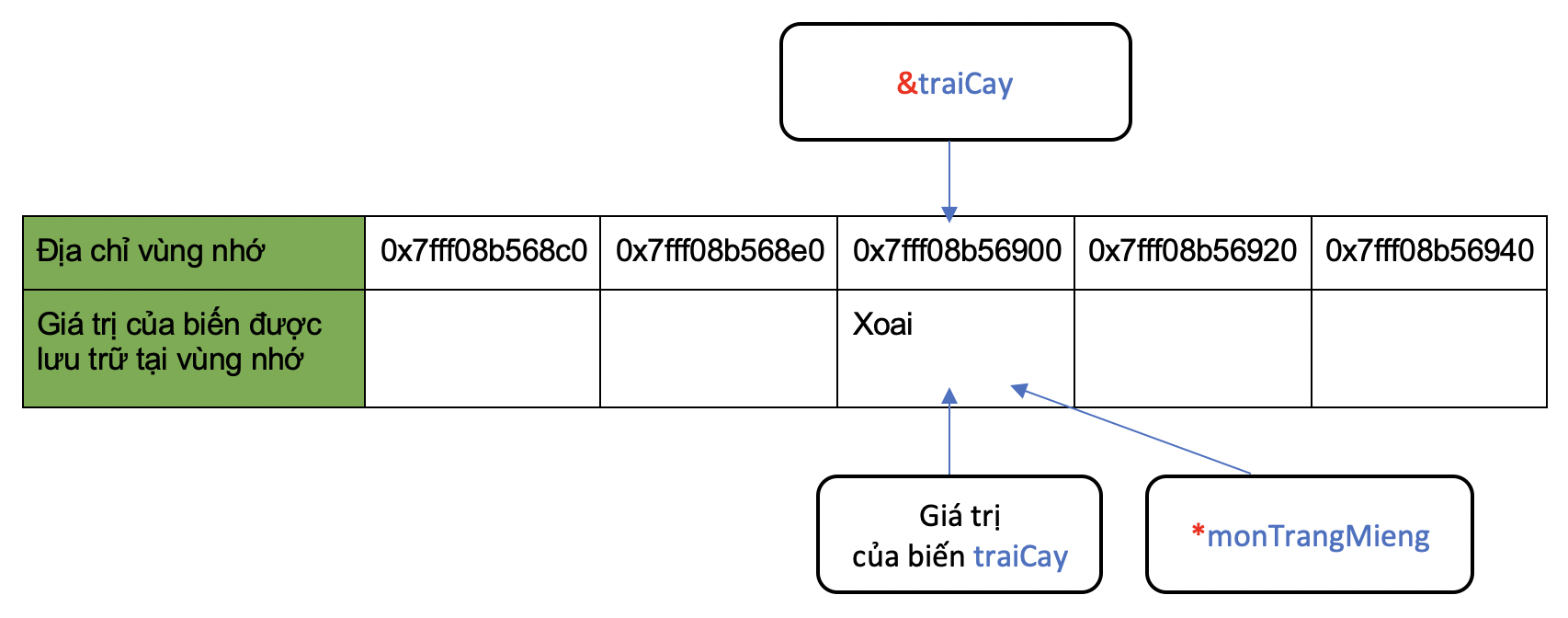 tham-chieu-va-con-tro-2.png (239 KB)